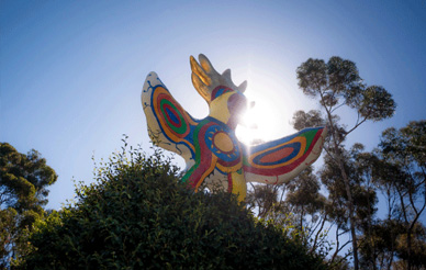 uc san diego sungod